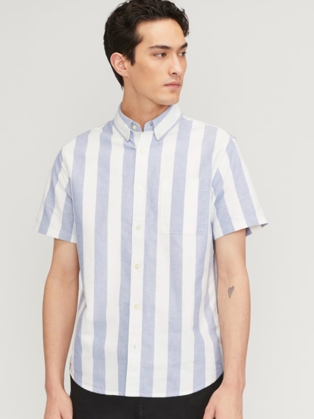 Everlane The Organic Short Sleeve Oxford Shirt